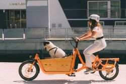 vélo cargo biporteur