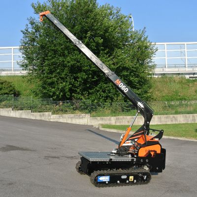 mini-grue sur chenilles d'occasion