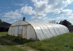 Tunnel agricole d'occasion