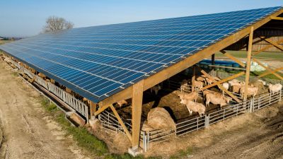 Hangar bovin photovoltaïque de Arkolia