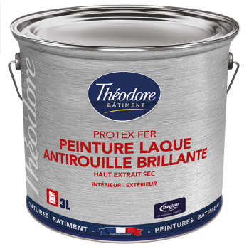 Protex fer brillant  -  theodore  -  réf. Ag00855_0