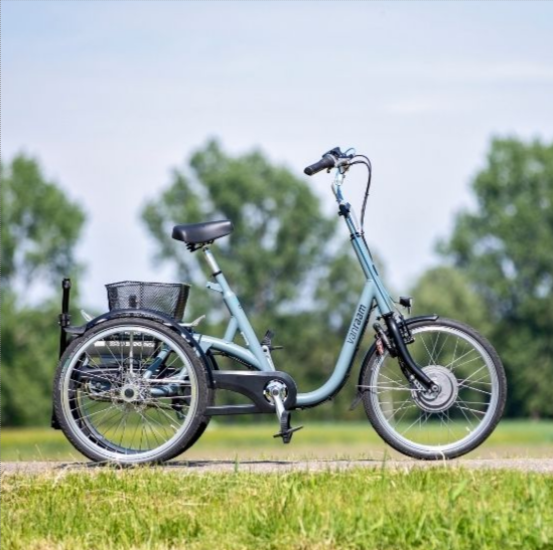 Tricycle Maxi Van Raam - Tricycle Individuel avec Options Personnalisables_0