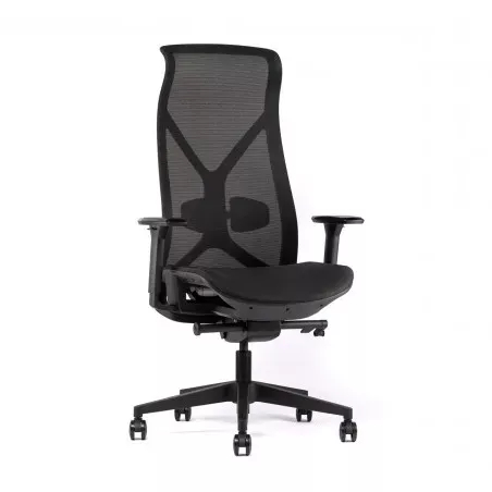 Siège de bureau ergonomique - synchrone So Lanciano - P02, Sans_0