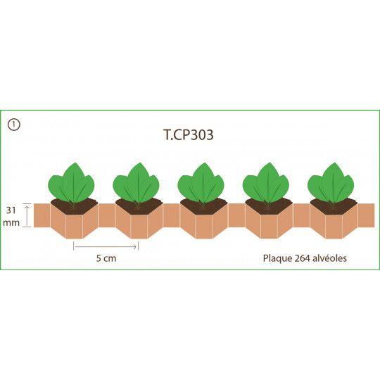 Chapelet pour Paperpot - Transplanteur 