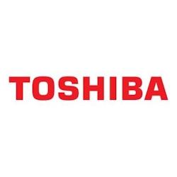 Toshiba Toner T-fc200e Tfc200e Cyan (6aj00000119) - 4519232170451_0