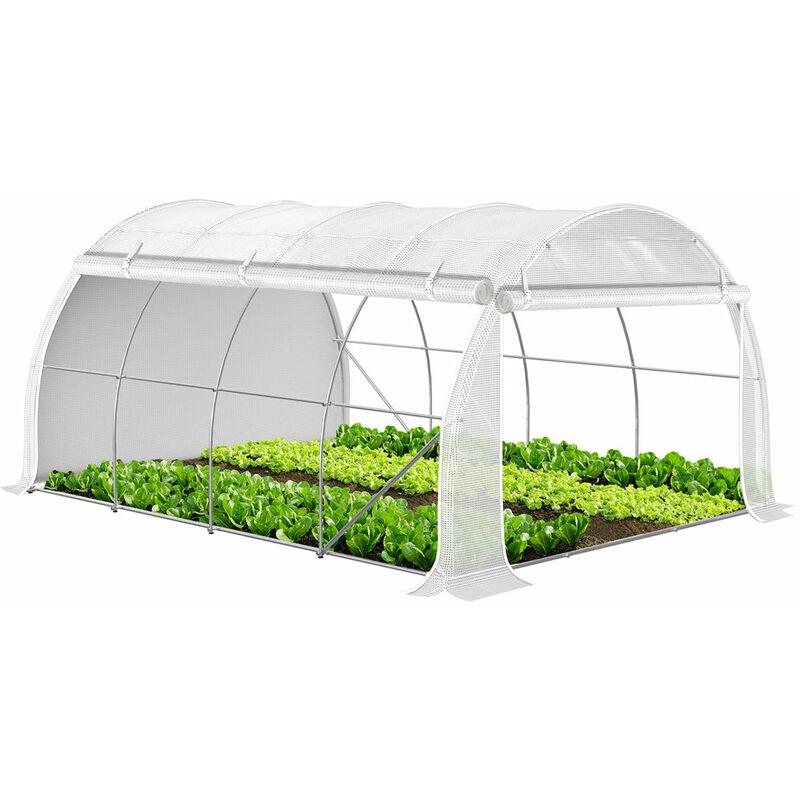 Serre de jardin polycarbonate avec base aluminium légume plante jardinage  5,85m³