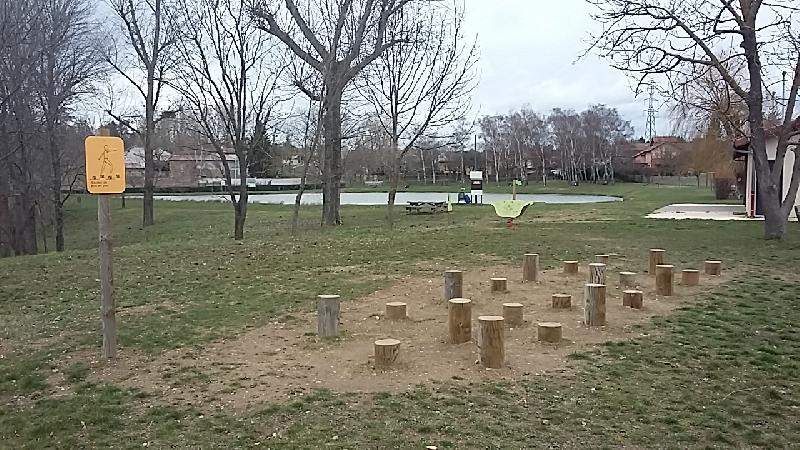 Pas de Géant - Parcours de santé avec 12 plots en bois de Ø 16 cm_0