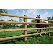 Barrière en bois pour chevaux