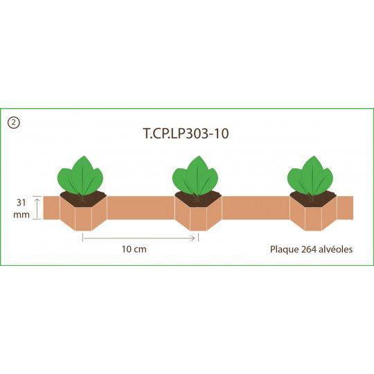 Chapelet pour Paperpot - Transplanteur 