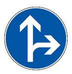 Panneau de direction obligatoire - B21d1_0