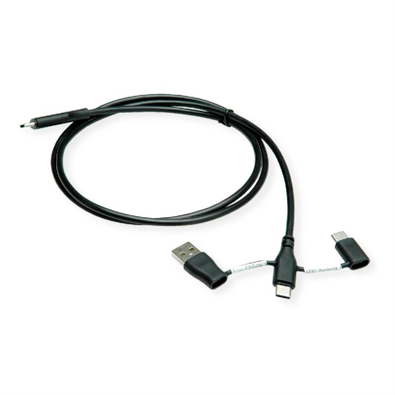 ROLINE Câble USB 2.0 type C, M/M, avec protecteur de données USB, type A+c, 1 m_0