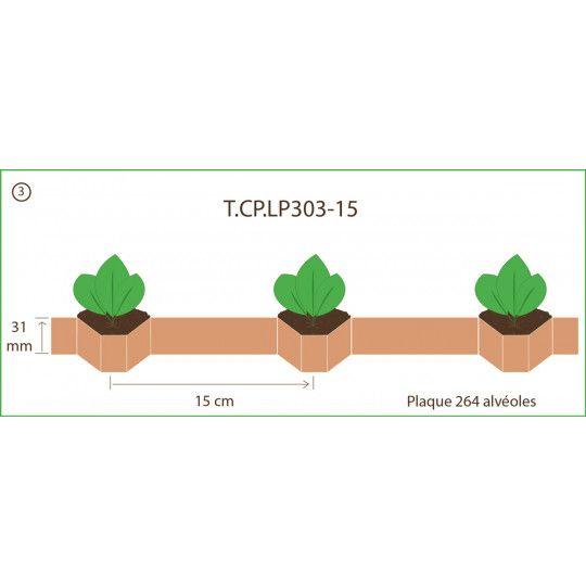 Chapelet pour Paperpot - Transplanteur 