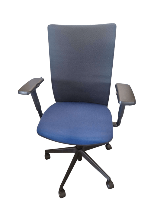 Eurosit - Fauteuil de Bureau d'occasion - Ergonomie Avancée et Design Moderne - Réglages Multiples et Confort Supérieur_0