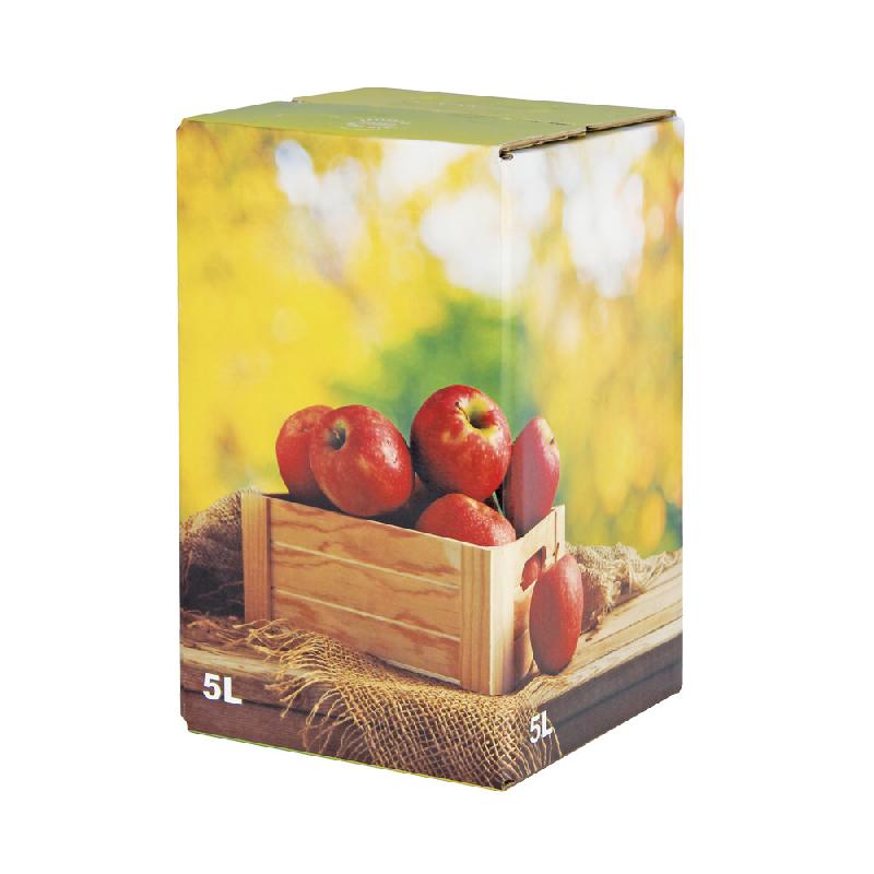 Carton décor générique Jus de pommes verni 5L - Réf : CAR305CA070_0