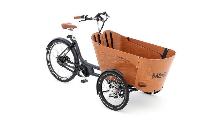 Triporteur électrique Babboe Carve Mountain - Transport jusqu'à 4 enfants - Moteur Yamaha 36V 250W_0