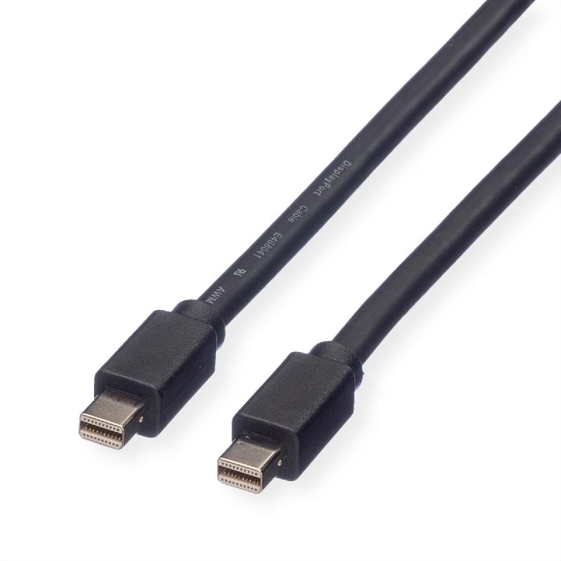 ROLINE Câble DisplayPort Mini DP M - Mini DP M, noir, 2 m_0