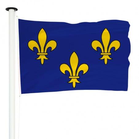 Drapeau Royaume de France pour mât (Bleu avec 3 fleurs de lys)_0