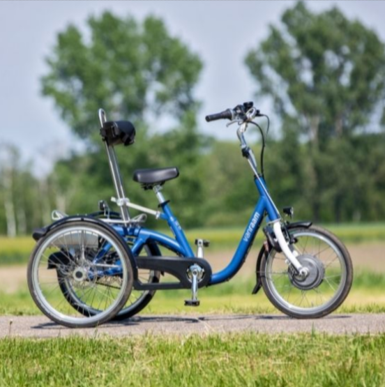 Tricycle Midi Van Raam - Tricycles individuels - Stabilité optimale et personnalisation avancée_0