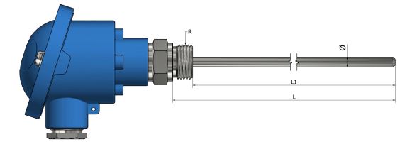 Thermocouple chemisé Sortie tête de raccordement avec raccord fileté  - TM71_0