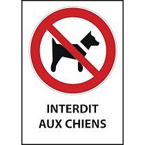 Panneau interdiction - Chiens interdits - P021  - 210 x 148 - Vinyle souple autocollant - Lot de 3_0