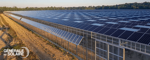 Serre photovoltaïque pour une production agricole intensive_0