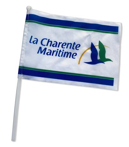 Drapeau de supporter 64 x 51 cm - DS 95_0