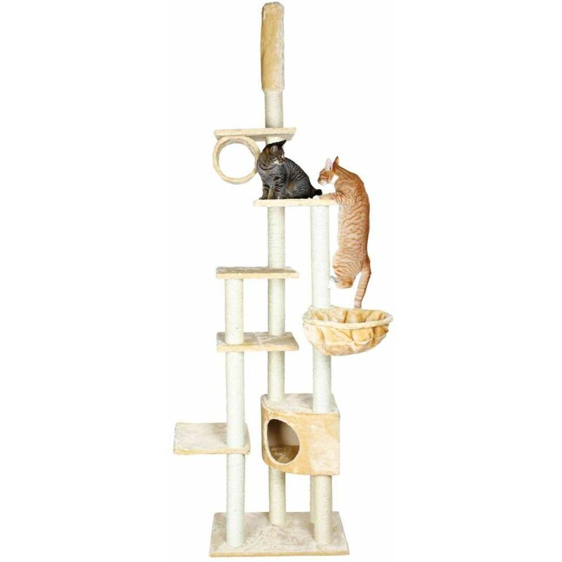 Arbre A Chat Madrid Du Sol Au Plafond 245 270 Cm Beige Trixie Comparer Les Prix De Arbre A Chat Madrid Du Sol Au Plafond 245 270 Cm Beige Trixie Sur Hellopro Fr