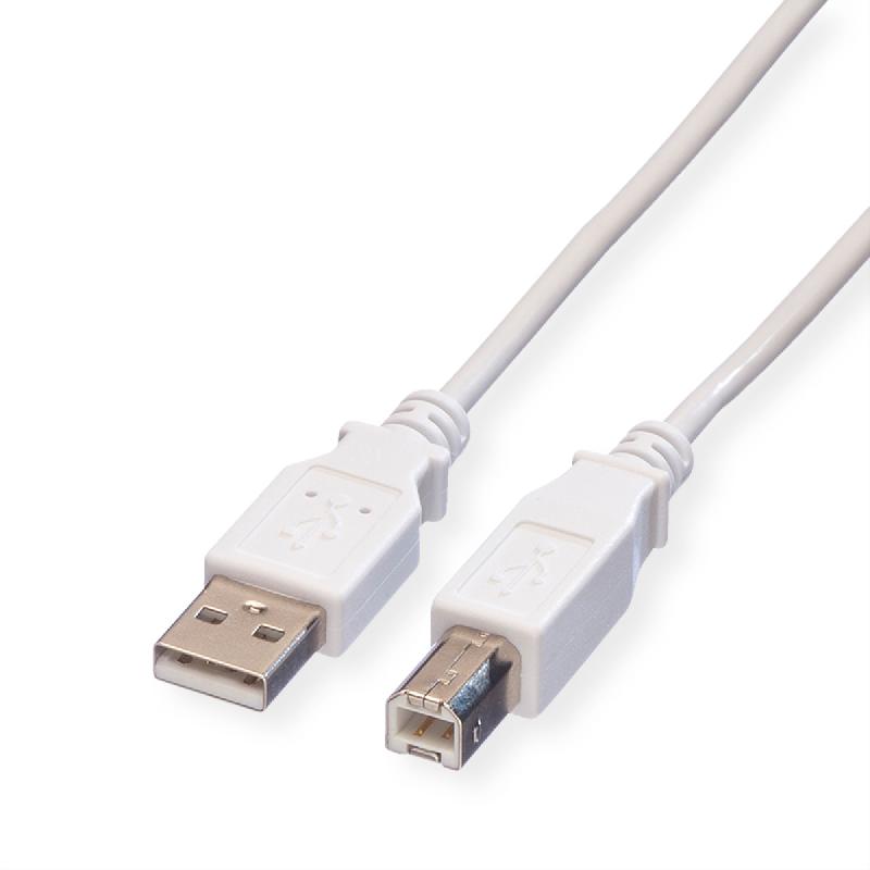 VALUE Câble USB 2.0 Type A-B, blanc, 3 m_0