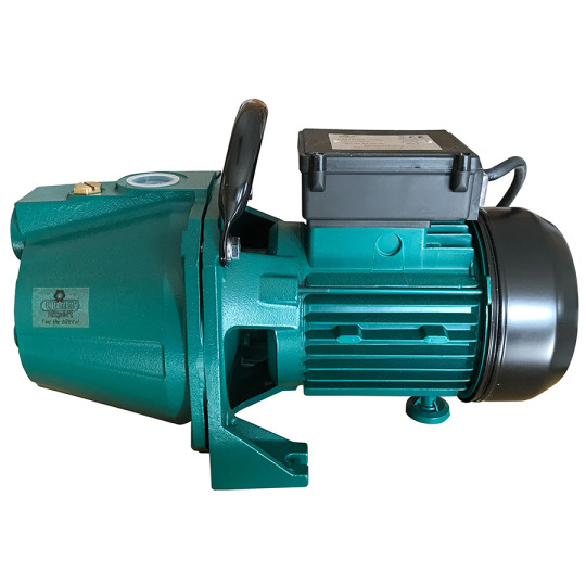 Pompe fonte 1100W (GP1100 - 58076)_0