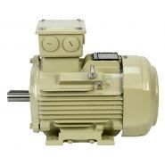 Moteur atex - motovario - entre 0,75 kw et 315 kw_0