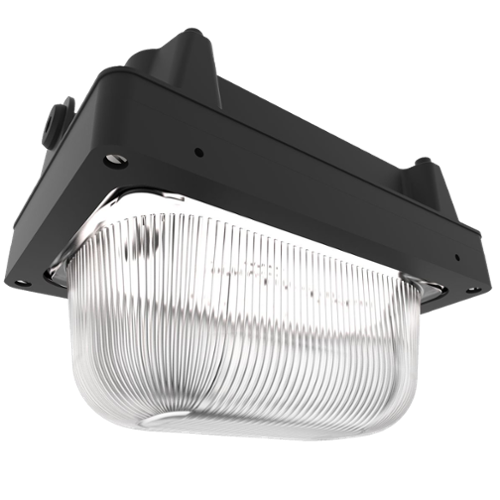 Hublot LED - IP66/67 - Pour zones 2, 21 et 22 - NE2N121LE-B_0