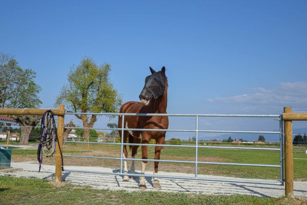 Porp3n - barrière agricole galvanisée -  porte de prairie 3-4 m_0