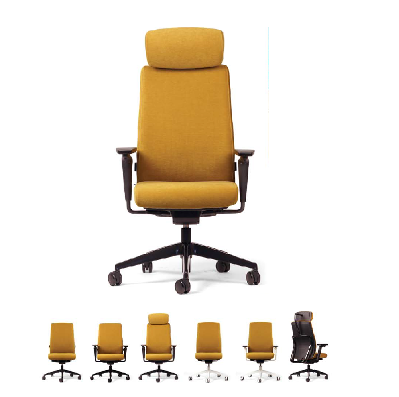 Duc+ fauteuil manager ergonomique haut acc_0