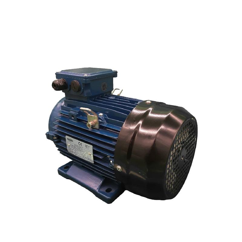 Moteur électrique 230/400v 4 Kw 3000 Tr/min  - Ms100l22b3 Bride B3_0