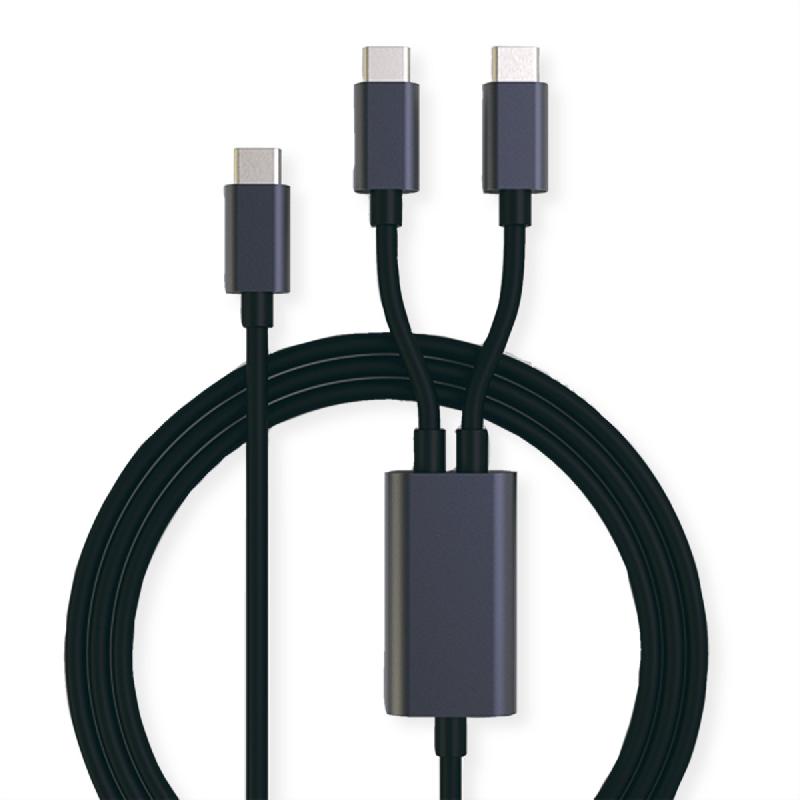 ROLINE Câble de chargement USB2.0 Y - Splitter, Type C vers 2x C, M/M, max. 100W, noir, 1,85 m_0