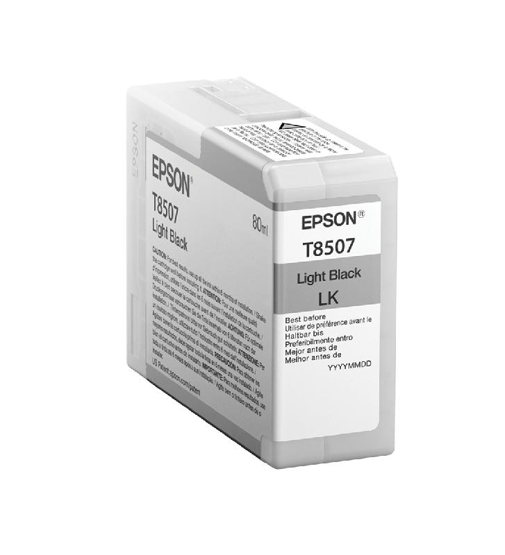 Epson Singlepack Light Black T850700_0