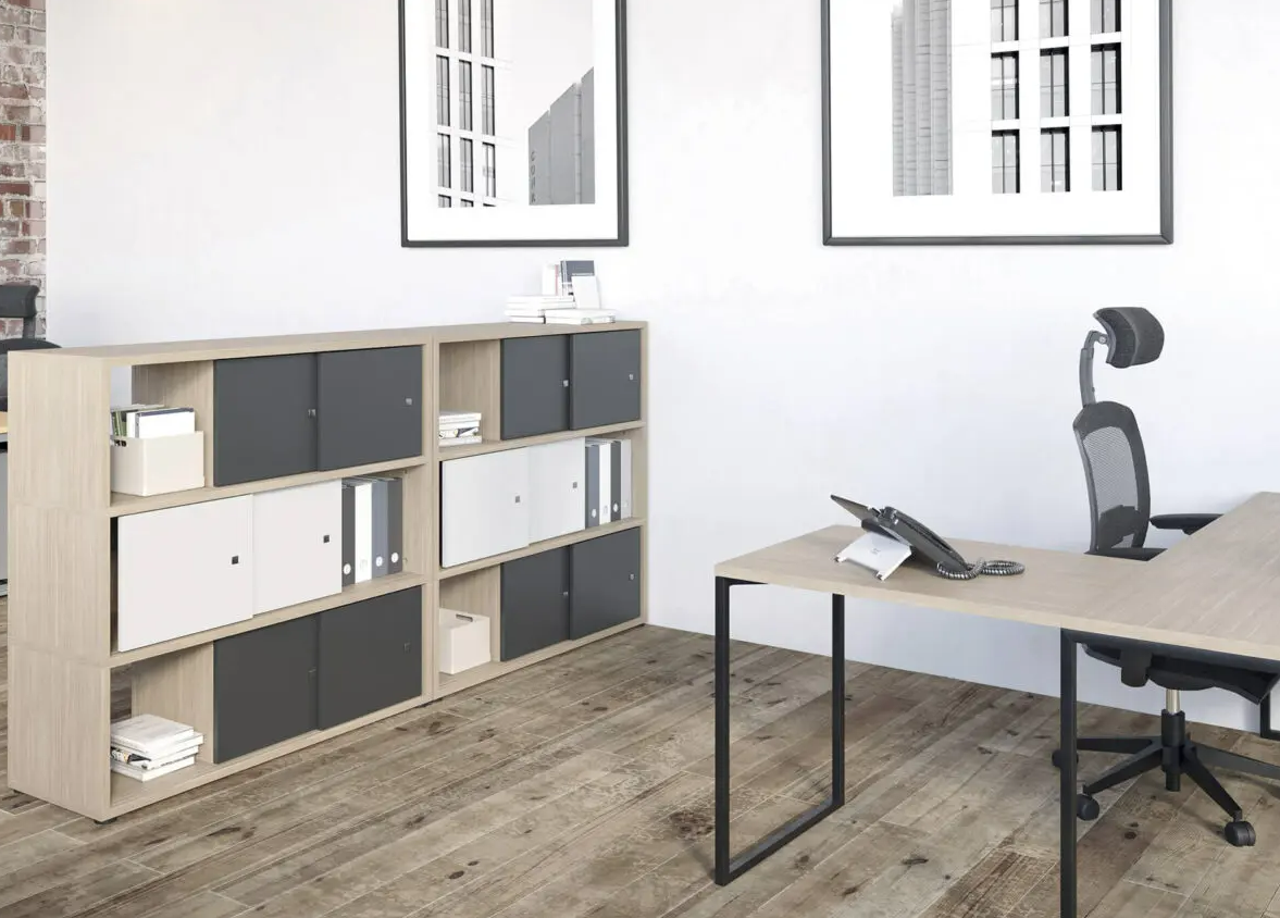 Armoire basse avec rangements optimisés pour espaces professionnels_0