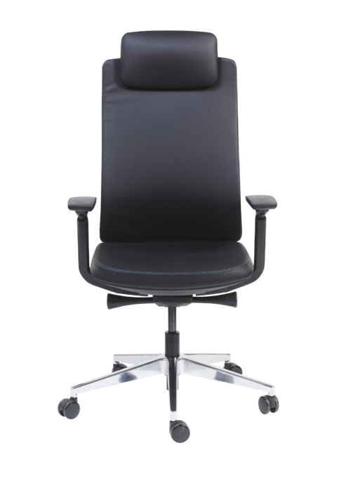 Fauteuil synchrone ALEXANDER - ergonomique avec support lombaire réglable et mécanisme de blocage en 3 positions - neuf_0