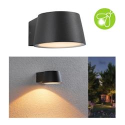 Paulmann Applique d'extérieur LED Capera  favorable aux insectes IP44  96x128mm 2200K 6W 550lm 230V 98° Anthracite Aluminium 94713 - gris aluminium_0