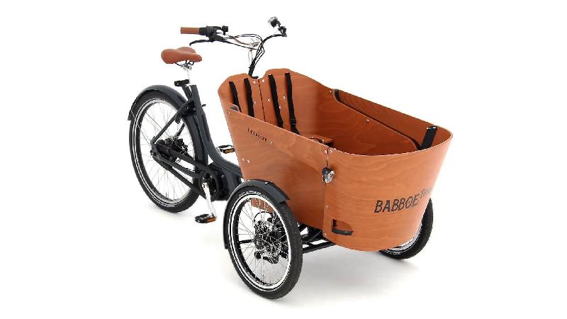 Triporteur électrique Babboe Flow Mountain - boîte Enviolo Nu Vinci - moteur Yamaha 36V 250W_0