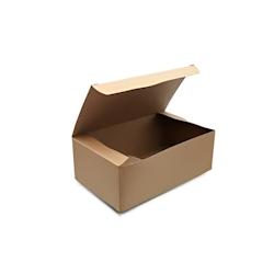 Boîte à repas take away en carton kraft brun 1200 ml par 50 - marron en carton TK12X50_0