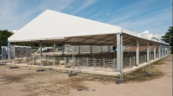 Hangar Agricole Modulaire pour Stockage, Élevage et Protection des Récoltes et Équipements - HTS TENTIQ GMBH_0