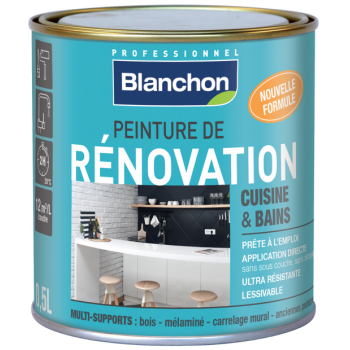 Peinture de Rénovation Cuisine & Bains - BLANCHON - Réf. AG01902_0