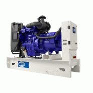 Groupe électrogène industriel diesel P12-1S - 11 kVA / 11 kW à 12 kVA / 12 kW - Moteur Perkins - FG Wilson - Compatible HVO