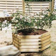 Bacs à fleurs et jardinières en bois concarneau hexagonales