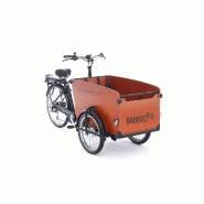 Triporteur électrique Babboe Big-E - 4 enfants - Moteur GWA 250W - 7 vitesses