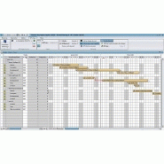 Logiciel de gestion de projet  swot system