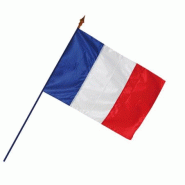 Drapeau Français avec hampe (Officiel)