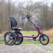 Tricycle van raam easy rider compact