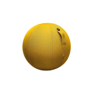 Ballon ergonomique pour la réduction des troubles musculosquelettiques - ERGOBALL